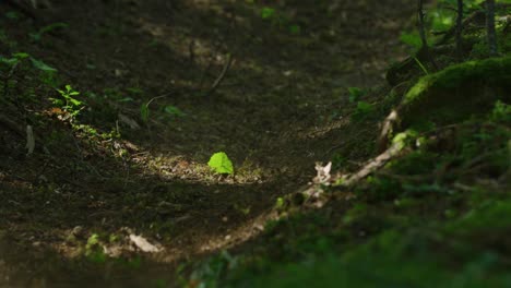 Ein-Mountainbiker-Führt-Einen-Drift-In-Zeitlupe-Durch