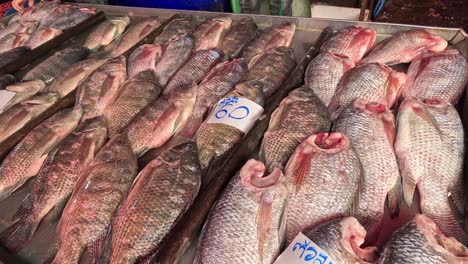 hand choosing among fresh fish on ice