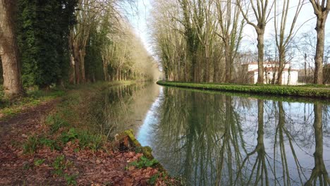 refections of spring trees in canal