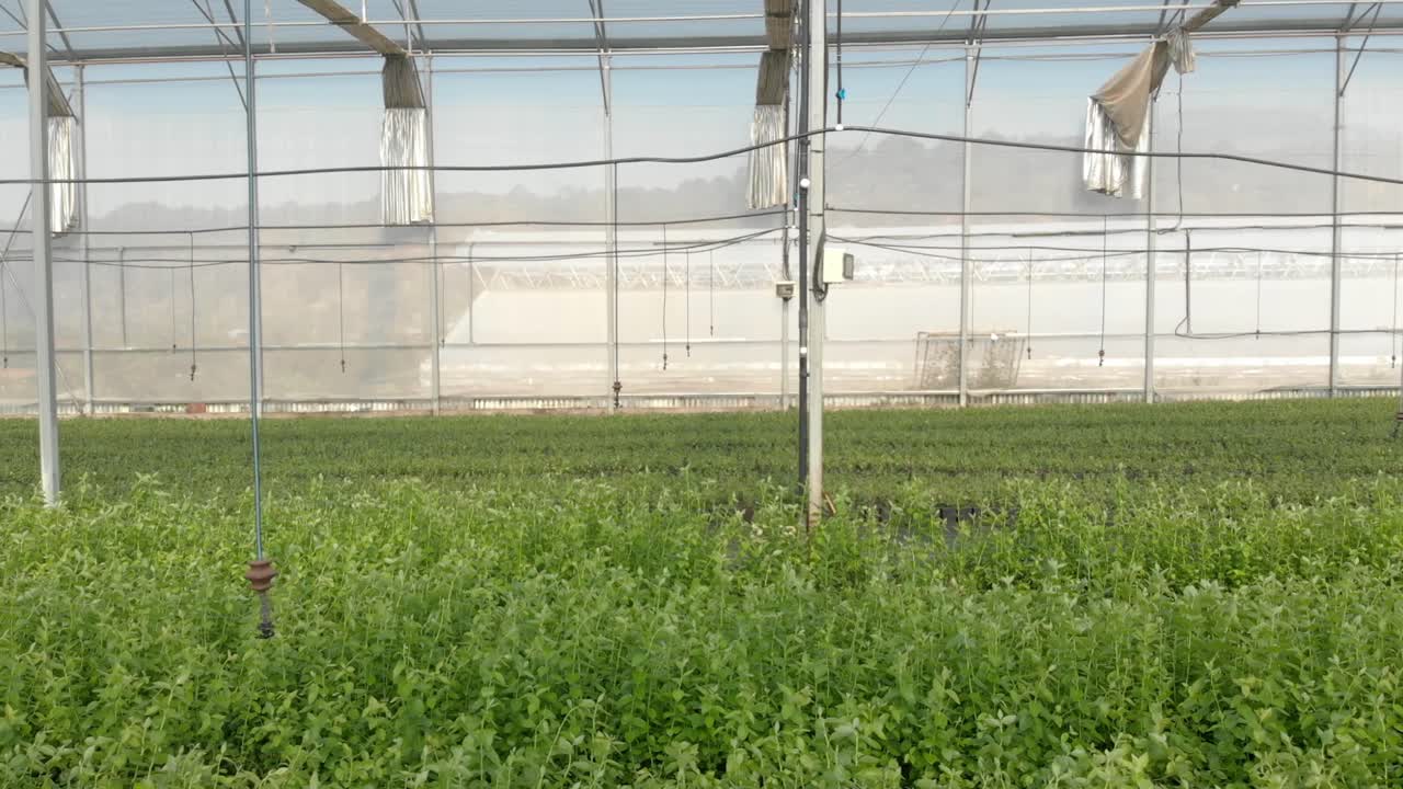 tomada de avión no tripulado de las bayas de la casa verde en michoacán