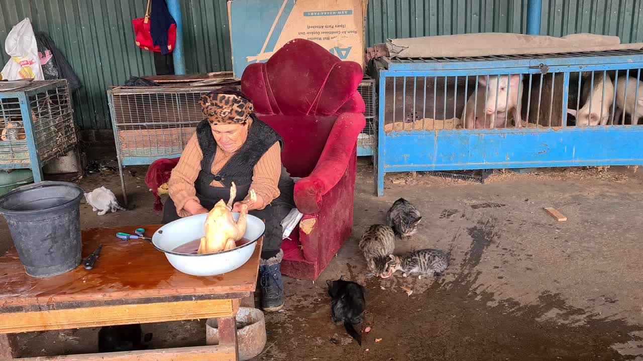 Woman Preparing Chicken at an Animal Market