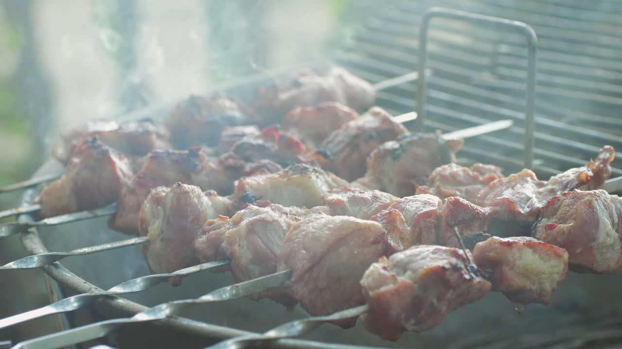 Grilled Pork Skewers on a Barbecue