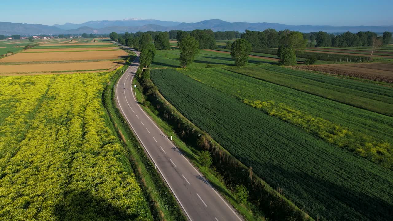 봄 아침 꽃이 피는 다채로운 농경지를 가로지르는 조용한 길: 어린 시절의 기억으로의 향수적인 여행