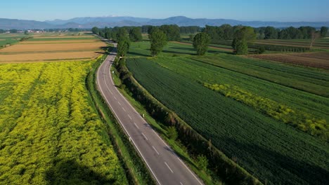 Stille-Straße-Zwischen-Farbenfrohen-Landwirtschaftlichen-Parzellen-Mit-Frühlingsmorgenblüten:-Eine-Nostalgische-Reise-In-Die-Kindheitserinnerungen