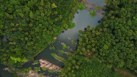 high-altitude aerial drone shot of kerala’s lush forest, where a peaceful river flows through the coconut palms.