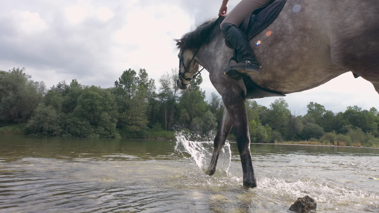 caballo con una mujer jinete entrando en el río y bebiendo agua, disparo de mano