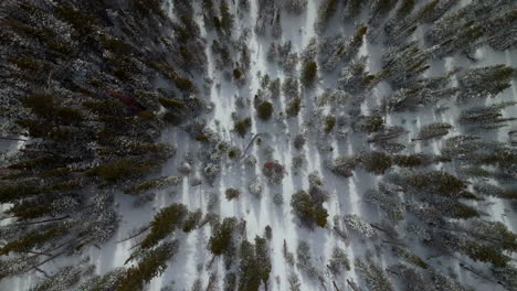 birdseye snowy berthoud pass winter park national forest scenic landscape view aerial drone backcountry ski snowboard berthod jones colorado rocky mountains peaks high elevation upward circle left