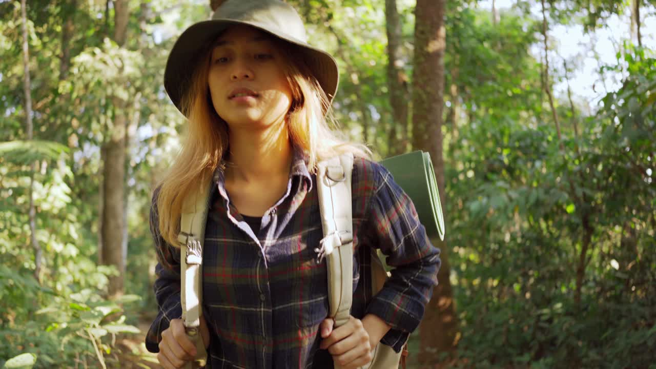 una mujer caminando en la selva de la selva tropical. vista trasera de una excursionista caminando con una mochila a través de la densa naturaleza de la bosque tropical en un día de verano, efecto sol.