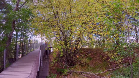 gorgeous view of a bridge over a beautiful river in autumn season in norway