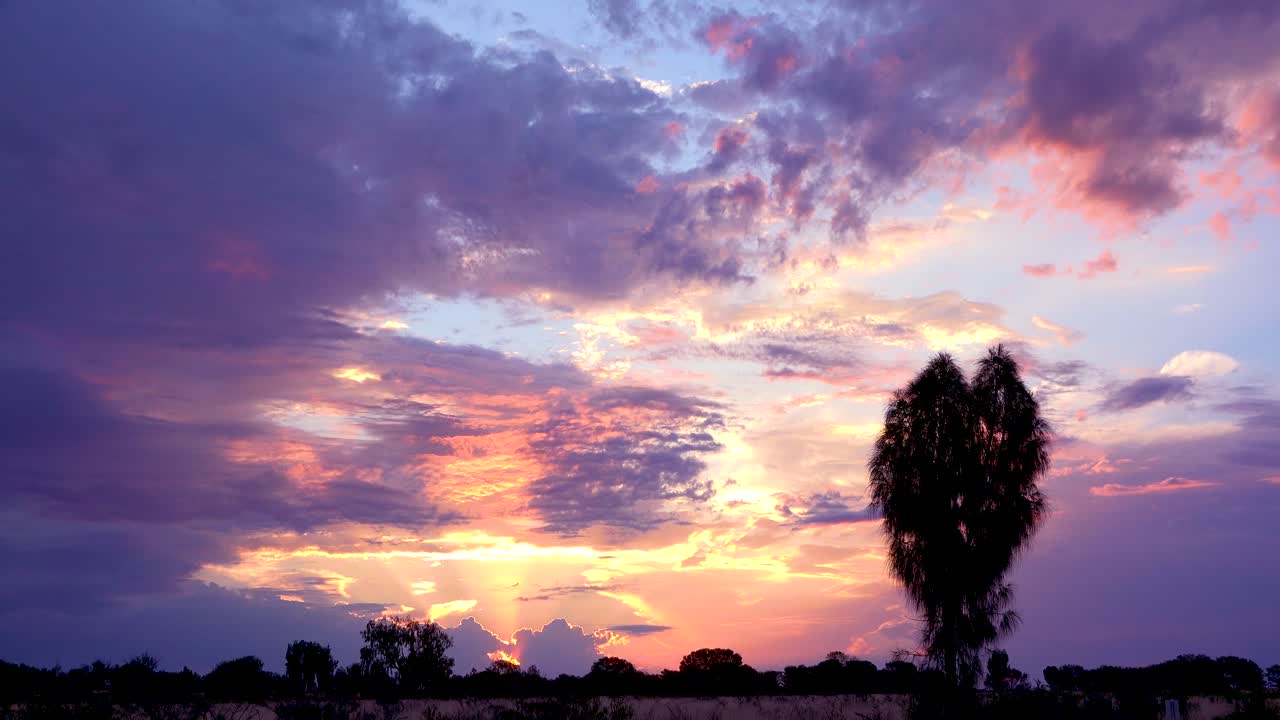 una hermosa puesta de sol o amanecer en el bosque australiano o en el interior 1