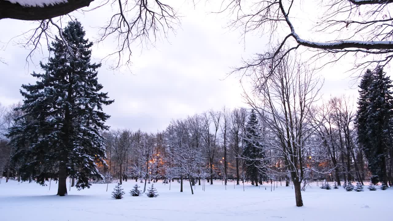 parque de invierno nevado al crepúsculo