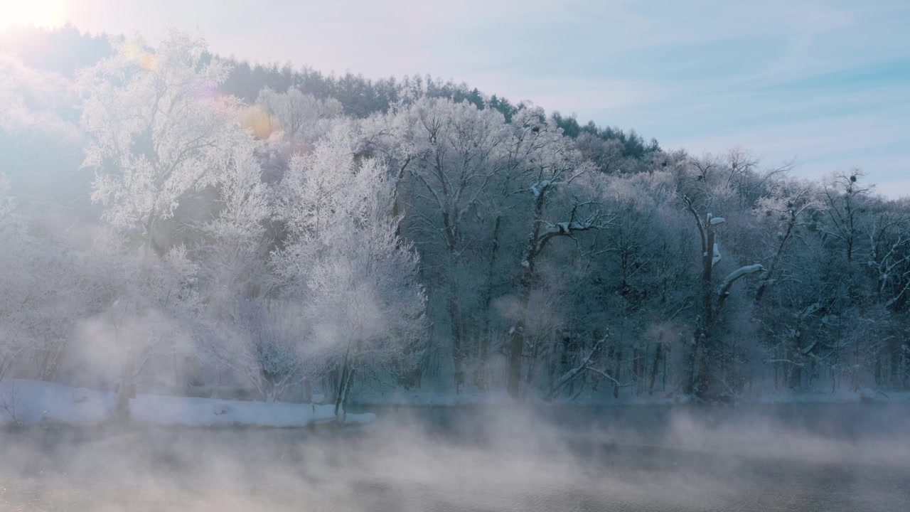 Vintertåge driver hen over den frosne Furano-sø nær Furano, Hokkaido, Japan, delvist skjuler tæt skov dækket af rimfrost og iskrystaller, statisk billede
