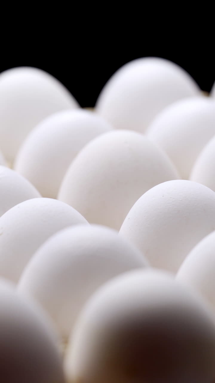 White chicken eggs in a cardboard box. Eggs in a paper tray. Vertical video