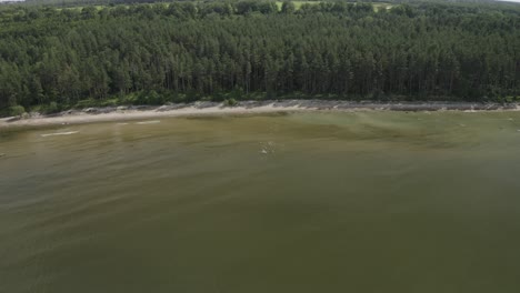 Drone-shot-of-the-seaside-and-beach-surrounded-by-dense-woods-on-a-sunny-day