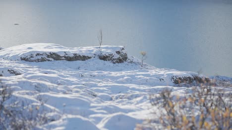 Paisaje-Norteño-Cubierto-De-Nieve-En-La-Orilla-Del-Pequeño-Lago