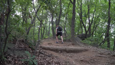 European-tourist-hiker-walks-up-the-trail-path-sweat-and-tired,-forest-frees-background-low-angle-view