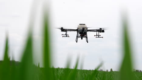 agriculture drone flying behind green crops, modern farming concept, slow motion