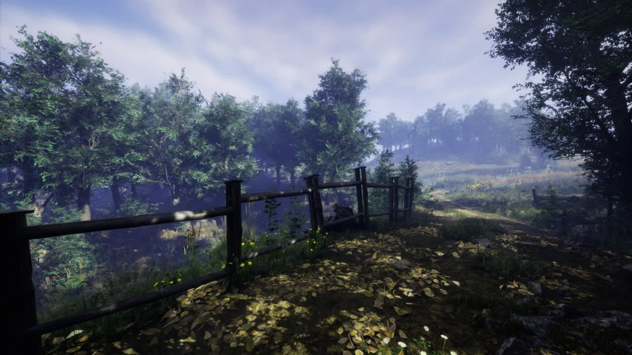Sentiero che attraversa un sereno paesaggio boschivo nella tenue luce del mattino