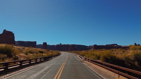 autumn trees at arches national park in utah, usa