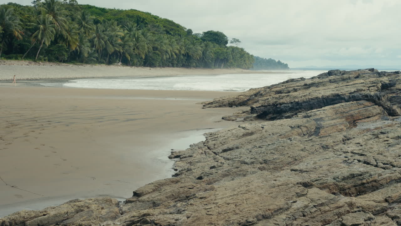Tropical beach with rocks and palm trees