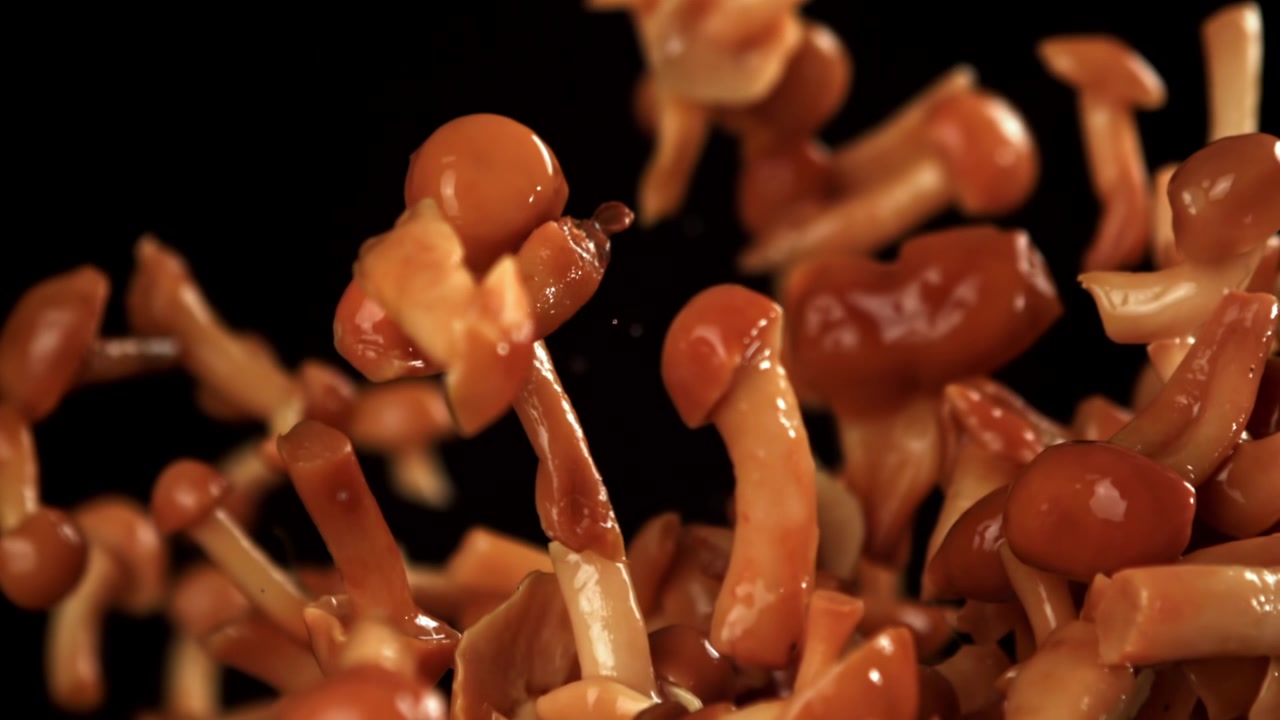 Ferske sopp flyr og faller i super sakte film