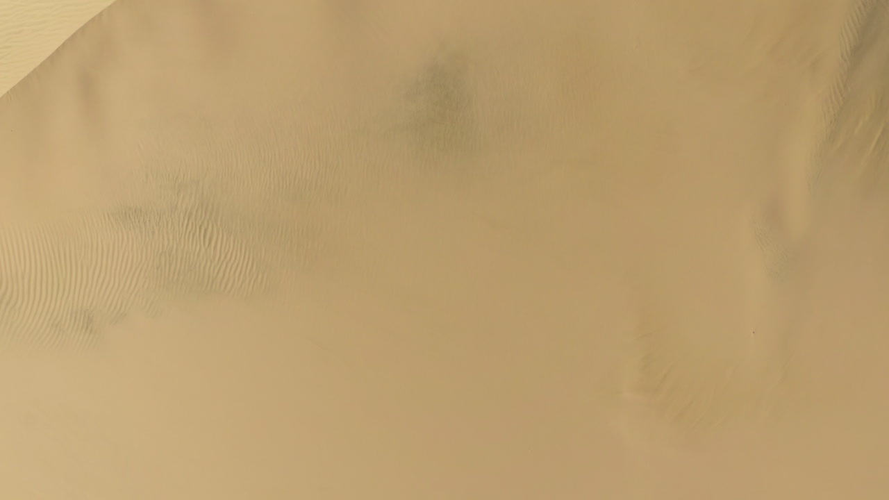 캘리포니아 켈소 사막의 모래 언덕에서 바람이 움직이는 모래