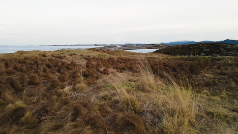 dry beach grass at the coastline revealed atlantic ocean road in atlanterhavsveien, norway