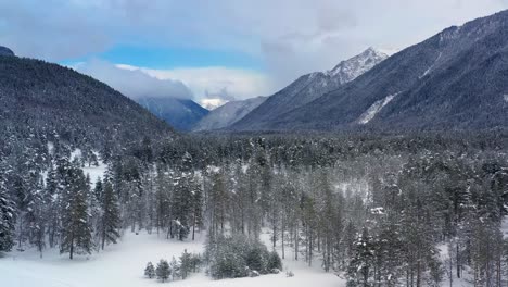 Hermoso-Bosque-De-Nieve-En-Invierno.-Volando-Sobre-Pinos-Cubiertos-De-Nieve.