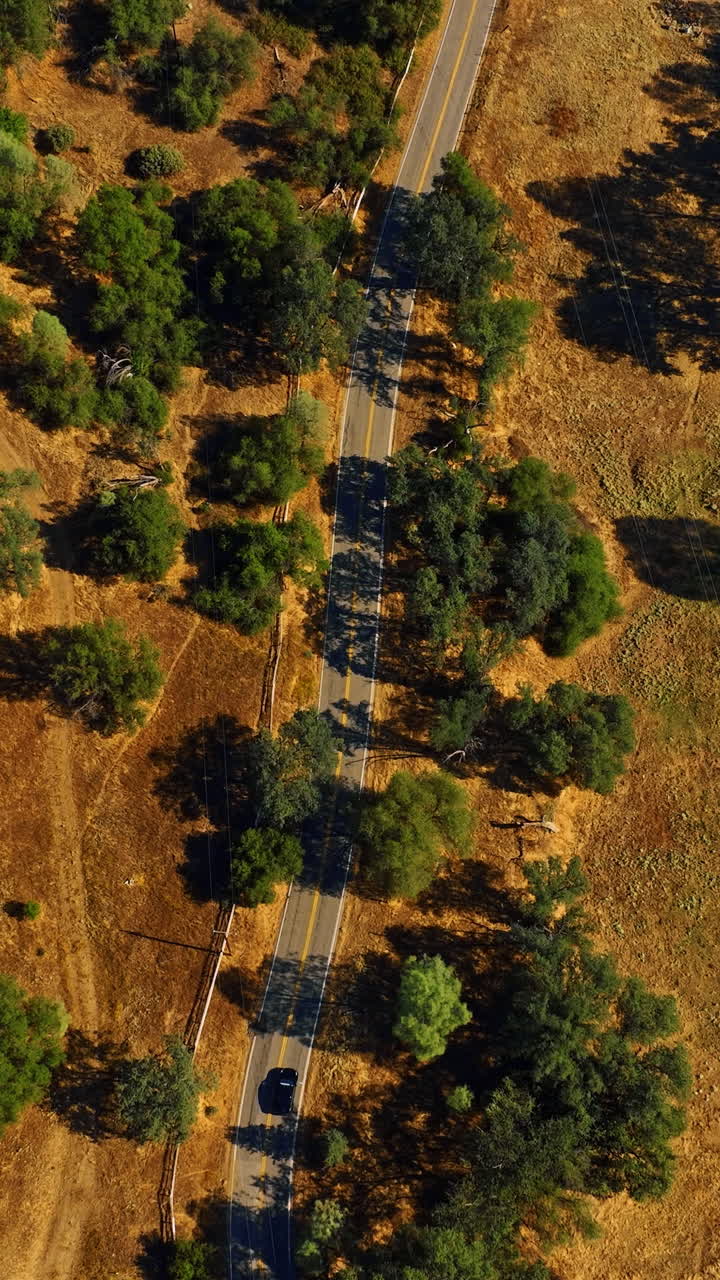Flying above the dry landscape covered with rare trees. Drone footage above the highway and car going along. Vertical video