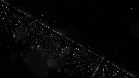 beautiful black background animation can be seamlessly looped. it can be used perfectly for a wide variety of subjects.