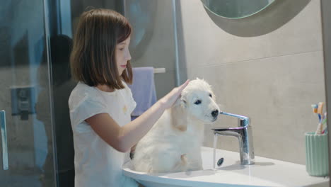 a girl washes a naughty puppy in a washbasin