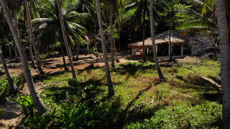 aerial: beach front villa surrounded by palm trees
