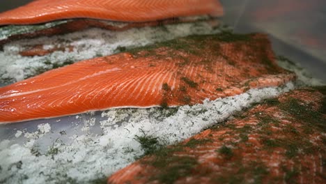 green dill herb sprinkled over raw fresh salmon fillet in slow motion - graved salted salmon production