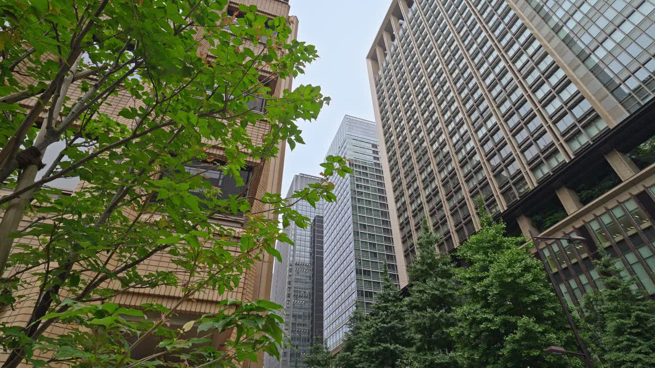 Lush green trees frame modern buildings in Tokyo, showcasing a harmonious blend of nature and urban architecture.