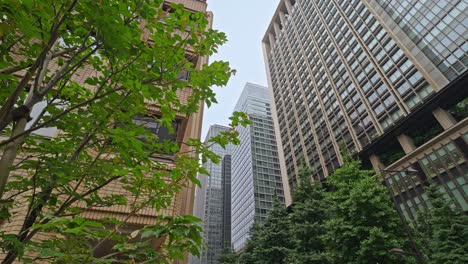 lush green trees frame modern buildings in tokyo, showcasing a harmonious blend of nature and urban architecture.