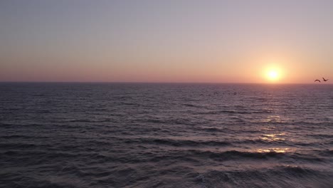 hermosa puesta de sol naranja y rosa en oxnard, california - dron de 4k sobre el océano con bandadas de aves marinas pasando por la toma