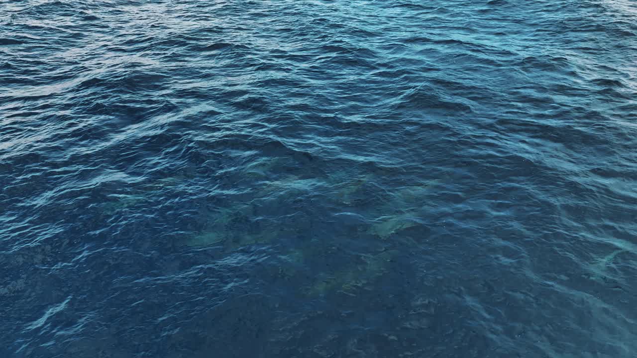Il drone segue un gruppo di delfini che saltano fuori dall'oceano a Curaçao. Riprese aeree 4K