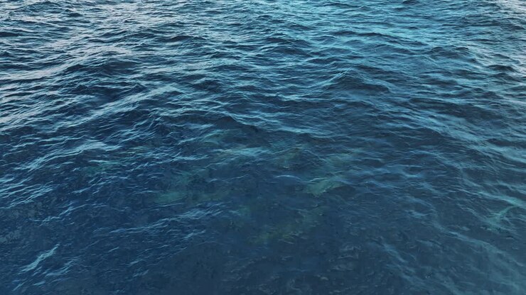 Il drone segue un gruppo di delfini che saltano fuori dall'oceano a Curaçao. Riprese aeree 4K