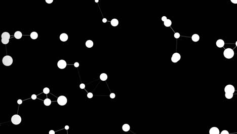 Abstract white molecular structure animated background