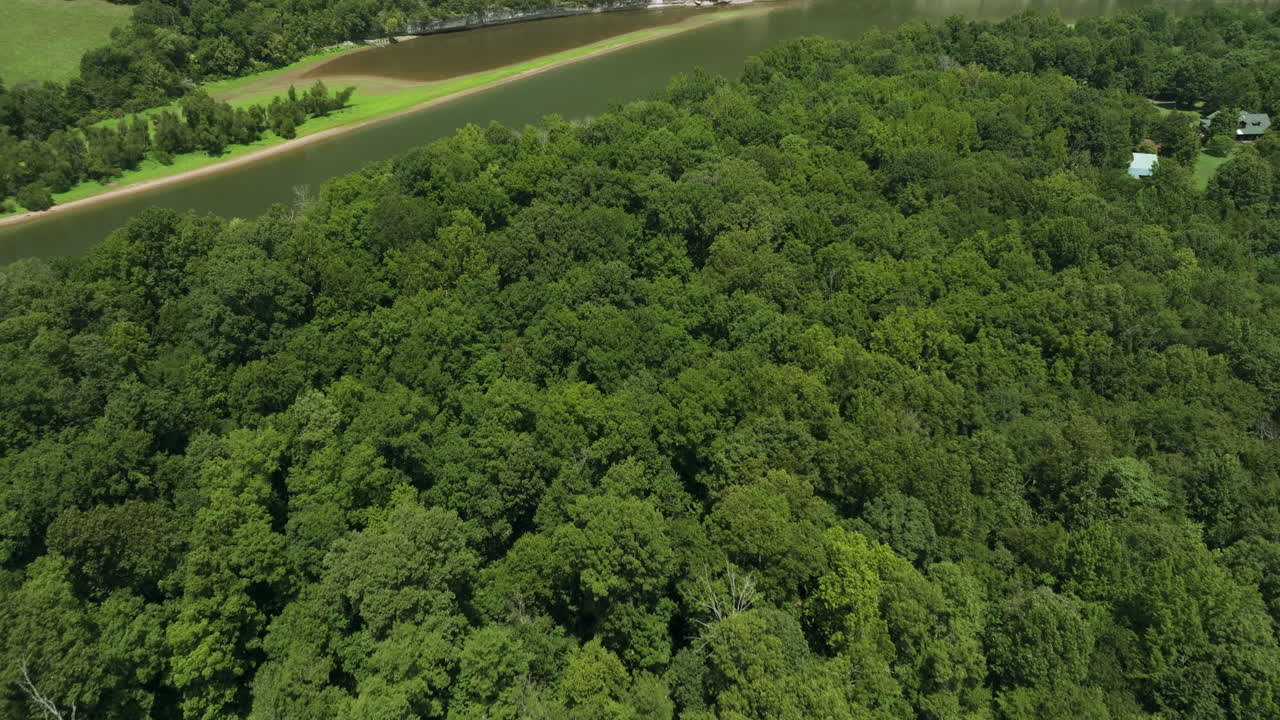 el bosque densamente boscoso de beaver lake en las montañas ozark del noroeste de arkansas, estados unidos