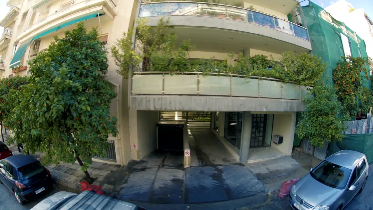 도시 아테네의 오렌지 나무