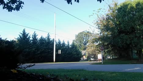 Amish-Horse-and-Buggy-going-down-the-Road