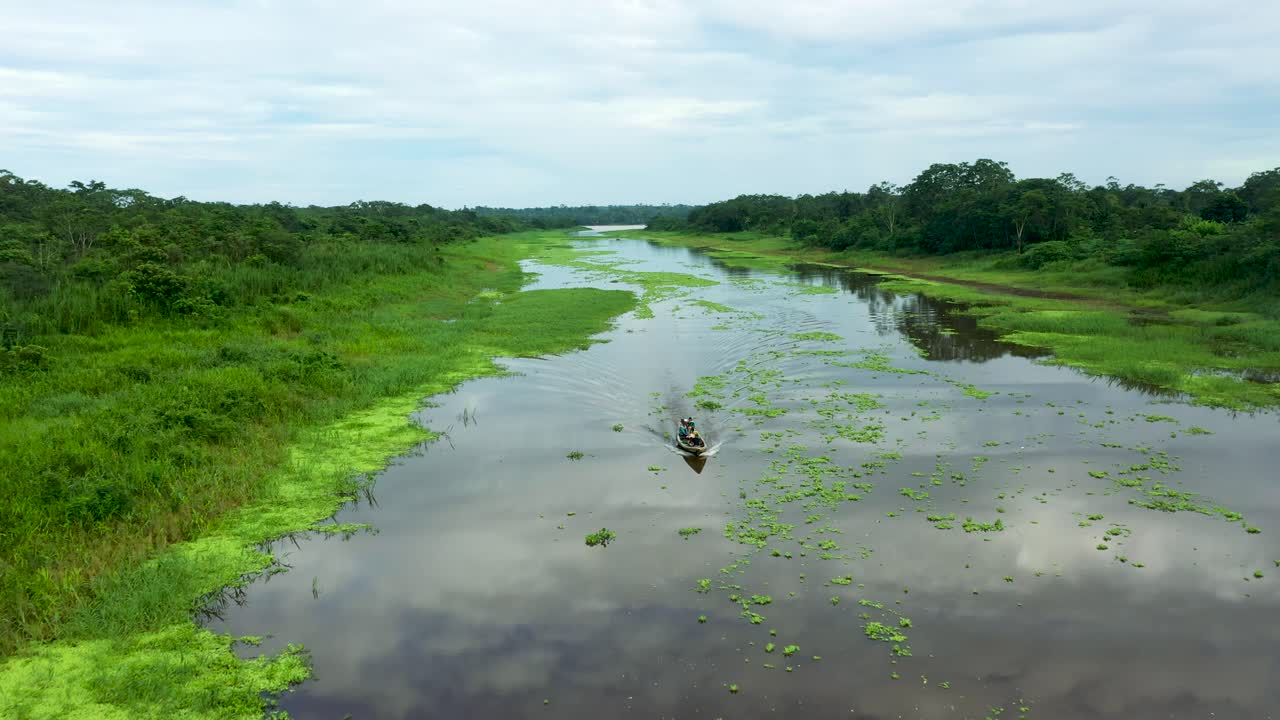 pintoresco paisaje del río amazonas con exuberantes selvas tropicales peruanas