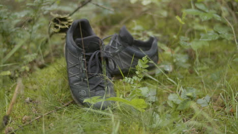 dolly of worn out hiking shoes lying in the woods