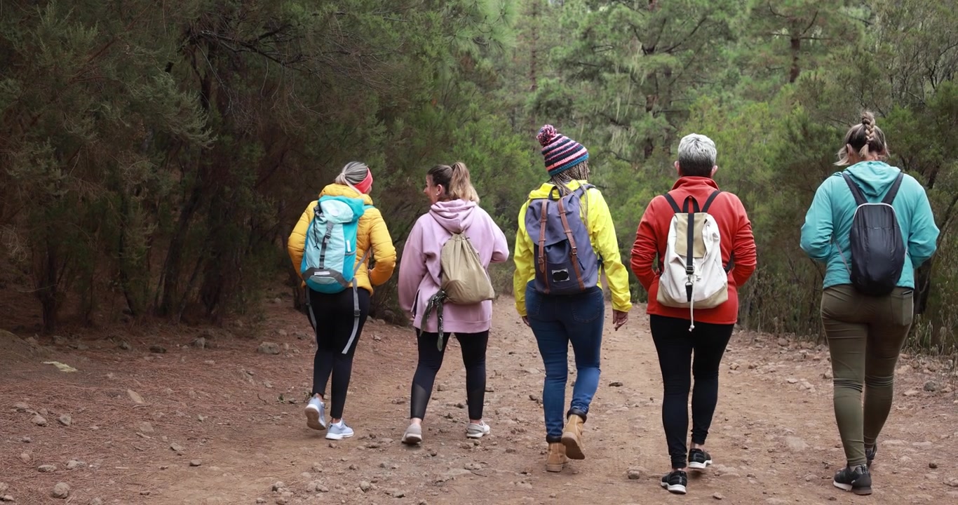 Gruppo di amici in escursione su un sentiero nel bosco