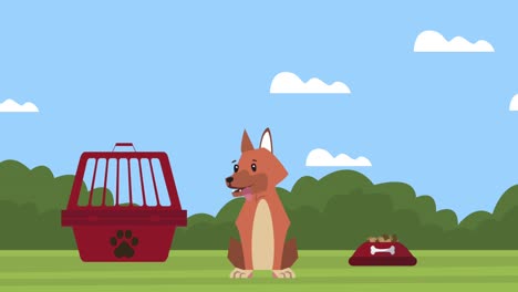 cute dog mascot with food in the field