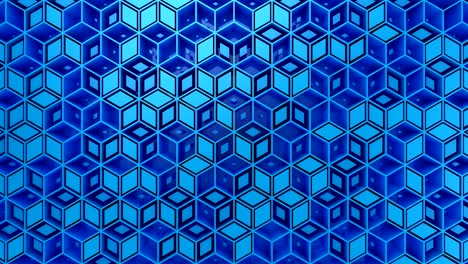 el fondo del rombo
