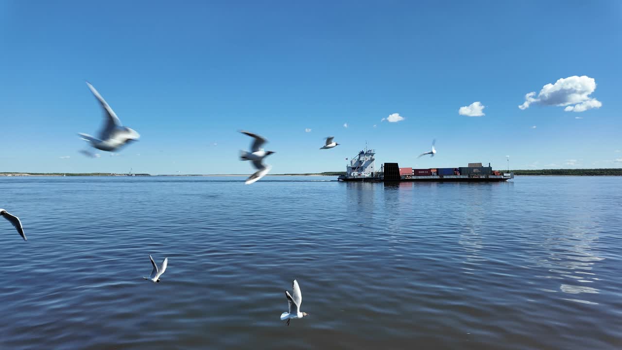 Seagulls glide over the tranquil river as a barge navigates through the pristine waters of Yakutia, showcasing nature's harmony in a breathtaking moment.