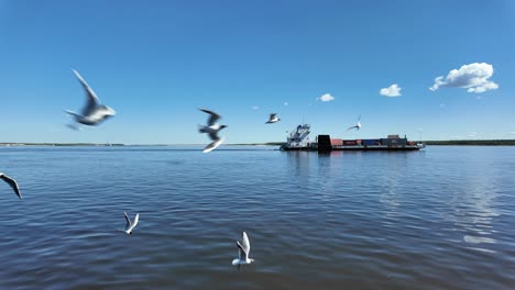 seagulls glide over the tranquil river as a barge navigates through the pristine waters of yakutia, showcasing nature's harmony in a breathtaking moment.