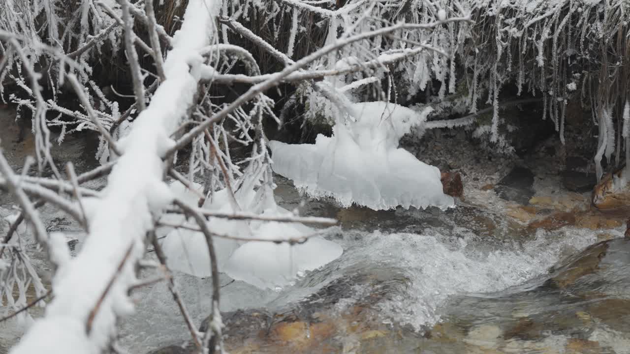 Ice formations and hoarfrost hang over the fallen tree branches and grass along the snowy edge of a shallow mountain stream.